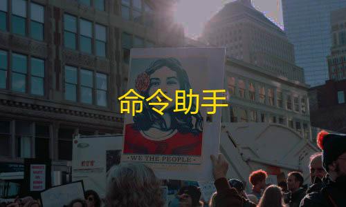 手游科技辅助发卡网命令助手